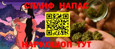 индика Тверь