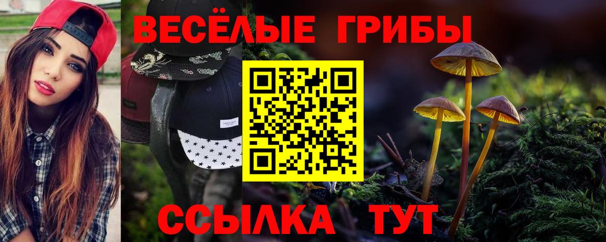 Галлюциногенные грибы мухоморы Благодарный