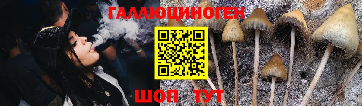 Псилоцибиновые грибы MAGIC MUSHROOMS  Вход с VPN  Благодарный 